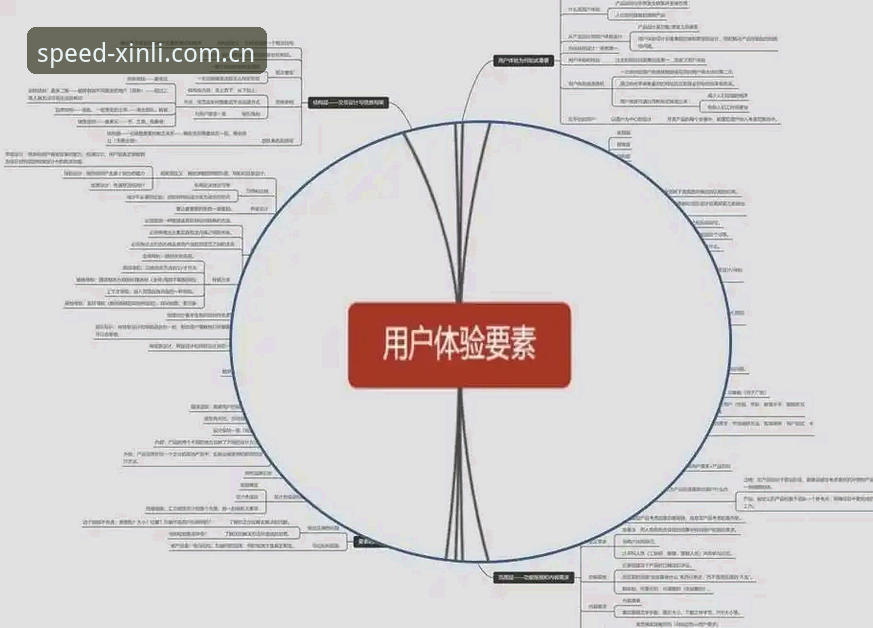 揭秘新利体育平台背后的技术架构与用户体验真相