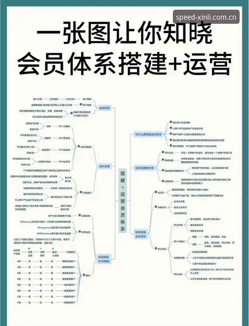 深度揭秘新利体育会员体系：数据背后的价值真相